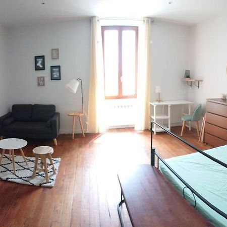 Апартаменти Le Beausejour - Cosy T2 - Business Ou We - Gare Бельґард-сюр-Вальсерін Екстер'єр фото
